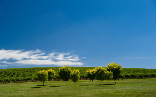 468987 (a): :2560x1600